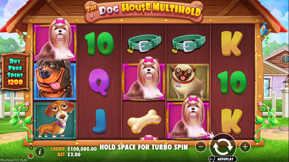 The Dog House Multihold Slot - Interface - mb8live